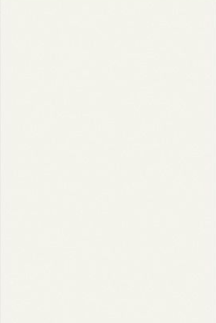 Titanium White