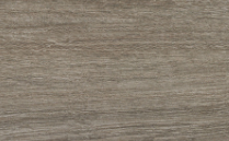 Elm