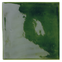 Verde Vic