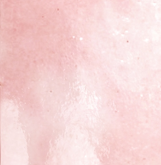 Rose Mallow