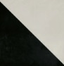 Half Black