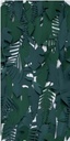 Midori 